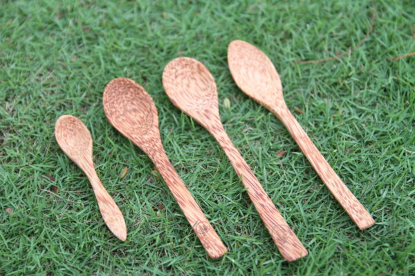 Wooden Coconut Spoon