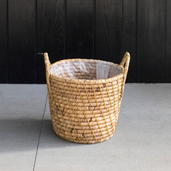 Water Hyacinth Plater