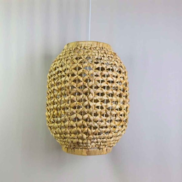 Water Hyacinth Lighting